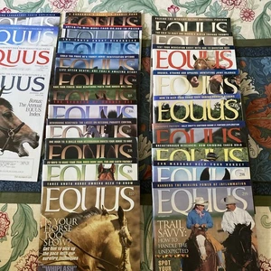 Equus Magazin 24 Stück Pferde - Bild 1 von 8