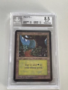 Forest / Alpha / BGS 8.5 Grading / MTG / Magic - Bild 1 von 3