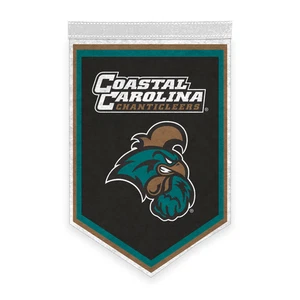 Mini Coastal Carolina CCU University Chanticleers Graduation Banner 12 x 18 - Picture 1 of 5