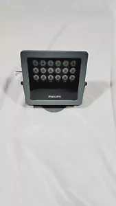 Philips Vaya Flood LP G2 LED Floodlight - Picture 1 of 7