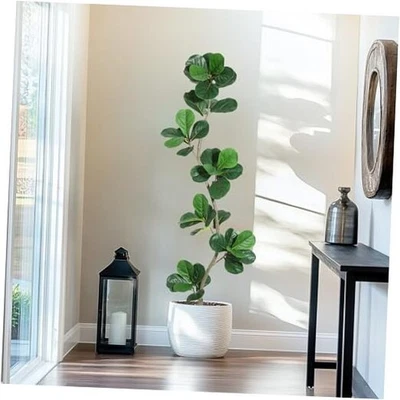  Hoja de violín artificial higuera - planta falsa de 6 pies con vivero negro 6 pies verde Foto 1 de 4