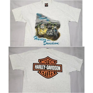 Vintage The Spirit of Harley Davidson Native Graphic T-Shirt grau - Größe L - Bild 1 von 6
