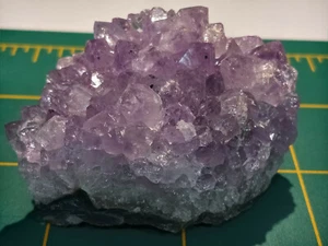 Schön! 2 Zoll x 1 1/2 Zoll Amethysthaufen auf Geodenmatrix - Artigas, Norduruguay - Bild 1 von 9