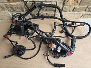 2013 Harley VRSCF Muscle Vrod Main Wiring Harness Loom - 69200094 - Bild 1 von 7