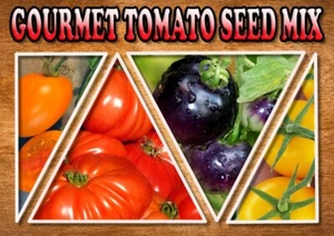 25 X HEIRLOOM TOMATO SEEDS-WINTER MIX-RED-BLACK-ORANGE-YELLOW-VEGETABLE GARDEN - Picture 1 of 6