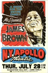 James Brown 28/07/66 Apollo Theater NY 4"x6" ristampa concerto mini poster 0119 - Foto 1 di 1