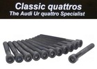 12 x CYLINDER HEAD BOLTS AUDI UR QUATTRO TURBO COUPE Wr-Wx-Gv  049103385