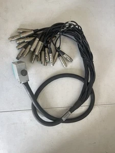 EDAC 1-24 Multitrack Outputs Snake 24 XLR 6 FOOT LONG Snake - Picture 1 of 6