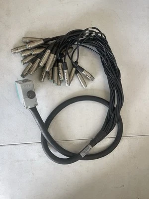 EDAC 1-24 Multitrack Outputs Snake 24 XLR 6 FOOT LONG Snake - Image 1 of 4