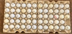 Assorted Brands Golf Ball Lot of 59 - All White Titleist, Top-Flite, Wilson, etc - Picture 1 of 3