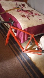 Specialized S-Works Roubaix 54cm Carbon fiber Frame - Picture 1 of 7