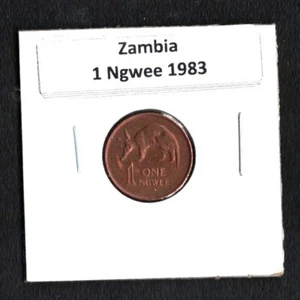 SAMBIA 1983 1 NGWEE MÜNZE - Bild 1 von 2