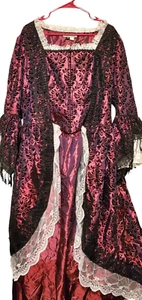 Victorian Gothic Steampunk Penny Dress Vampire Witch Halloween Costume Size Xl - Picture 1 of 9