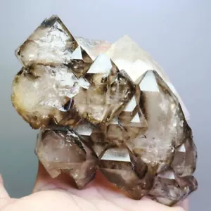1.31lb Natural Smoky Elestial Skeletal Quartz Crystal Cluster Mineral Specimen - Picture 1 of 11