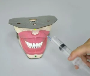 Dental Anesthesia Tooth Extraction/Removal practice model Dentist Training Gum - Picture 1 of 24