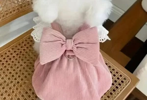 New Corduroy & Lace Pumpkin Skirt With Leash Hole - Picture 1 of 5