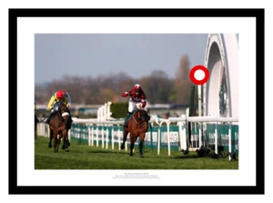 Tiger Roll Wins 2019 Grand National Horse Racing Photo Memorabilia (KX6) - Picture 1 of 1
