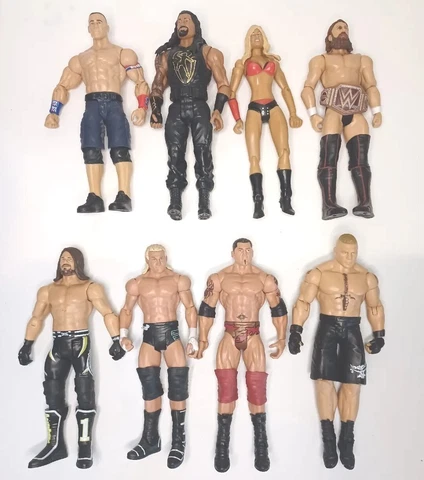 WWE Wrestling Kelly, Ziggler,Bryan,Cena,AJ,Brock,Baptista,Roman Lot of 8 Cover