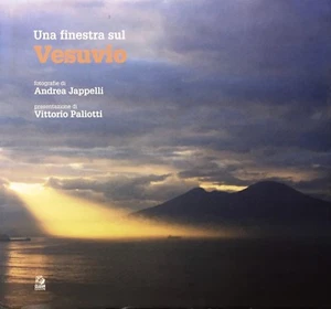 (Vesuvio) UNA FINESTRA SUL VESUVIO - Fotografie di A. Jappelli - Clean 2010 - Imagen 1 de 1