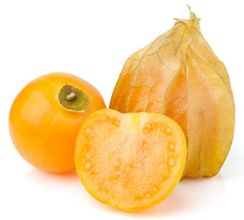 100 Samen Kapstachelbeere (Physalis peruviana) essbare Früchte m. hohem Zierwert - Bild 1 von 1