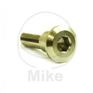 1 BRAKE DISC BOLT M8X1.25 30MM A4 FOR TRIUMPH 865 SPEEDMASTER 2011-2017 - Picture 1 of 2