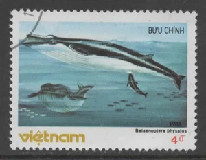 VIETNAM, 1985 Whales, Fin Whales - 1 Stamp, Good Condition, CTO (Ref 117) - Picture 1 of 2