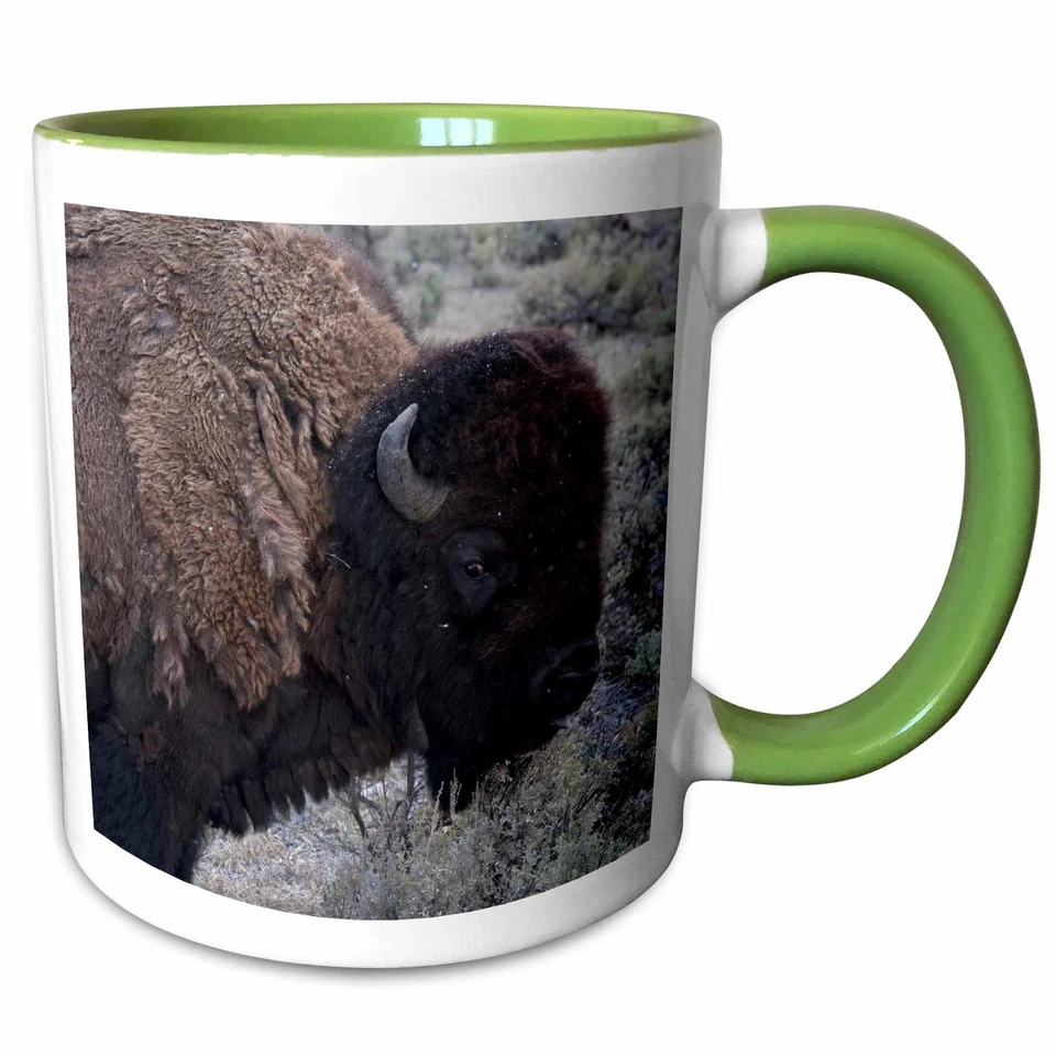 3dRose EE. UU., Wyoming, Bull Bisonte, Parque Nacional de Yellowstone. Taza Foto 1 de 1
