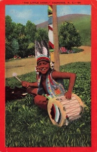 Cherokee Boy in HeadDress Native American Indian Vintage Postcard - Picture 1 of 2
