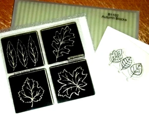 CTMH B1102 AUTUMN BLOCKS ~ LEAF OUTLINES ON SOLID 1.75 BLOCKS + BONUS STAMP - Picture 1 of 2
