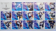 2015-16 KHL Neftekhimik Nizhnekamsk (#276-289) Pick a Player Sticker