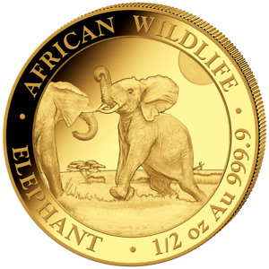 Goldmünze Elefant African Wildlife 2024 - Somalia - Anlagemünze - 1/2 Oz ST