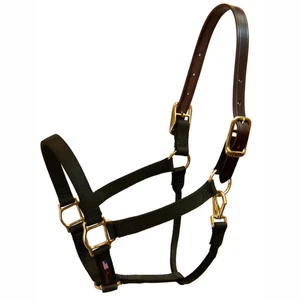 Walsh Breakaway 1" Halter w/ Straight Chin - Picture 1 of 10