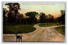 Postcard Cedar Rapids Iowa Bever Park People Horse Dog