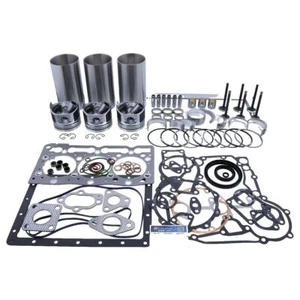 Overhaul Rebuild Kit for Kubota D1305 Engine - Picture 1 of 7