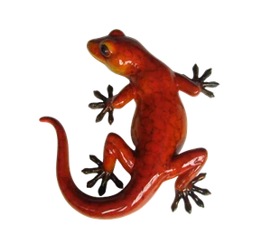 Vivid Arts - Glossy Gecko Garden Ornament (Red) - Picture 1 of 1