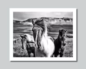 HORSE & PASTURE Photo Picture Print 8x10 11x14 16x20 w/Framed Option (W1) - Picture 1 of 12