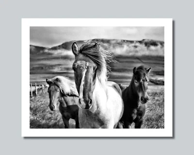 HORSE & PASTURE Photo Picture Print 8x10 11x14 16x20 w/Framed Option (W1) - Image 1 of 4