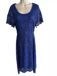 RN STUDIO A-line Royal Blue Lace Dress Mother Bride Wedding party midi round 16W - Picture 1 of 13