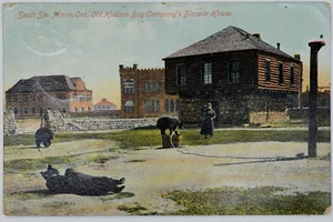 Postkarte Sault Ste Marie Bären im Blockadehaus der Old Hudson Bay Company - Bild 1 von 2