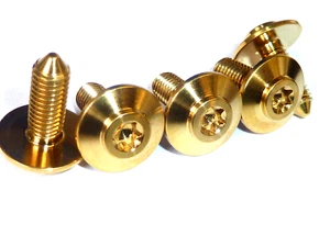 S1000RR Titan, Verkleidung Kotflügel FENDER M5x14 46638534938 Zylinder Torx Mit - Bild 1 von 7