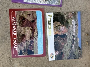 Vintage Postkarten versteinerter Wald Lot 5 ein Duplikat - Bild 1 von 5