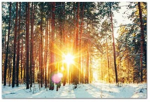 Sunrise Snow Forest Nature Scenery Photo Poster Print. #P1018 - Picture 1 of 9