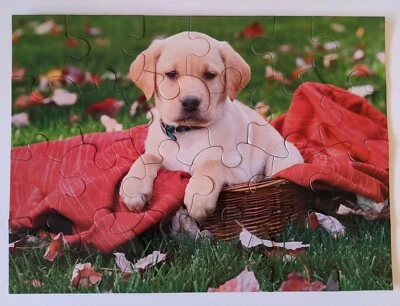 Кардинал собака 24 шт. пазл желтый лабрадор ретривер щенок 70725BNL - Изображение 1 из 4