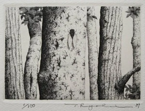 Ryohei Tanaka "Cicada" Kupferstich, handsignierte Auflage 1/150 - Bild 1 von 5