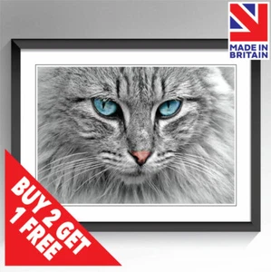 Póster de ojos azules estampado de gato lindo arte de pared animal enmarcado y sin enmarcar tallas A3 A4 A5 - Imagen 1 de 14