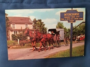 Amish Horse and Buggy Intercourse PA Postcard *Pre Owned/Collector* v1 - Picture 1 of 4