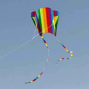 Lenkdrachen Regenbogen Drachen Lenkmatte Kite Powerkite Flugdrachen - Bild 1 von 6
