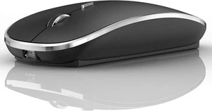 Souris Bluetooth iPad Pro iPad Air Mac MacBook Pro MacBook Air MacBook sans fil - Photo 1/1