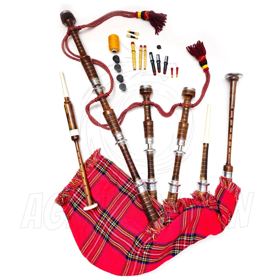 Parches de cocodrilo Lacoste | Logo bordado - Planchar/coser | Paquete de 2 Foto 1 de 4