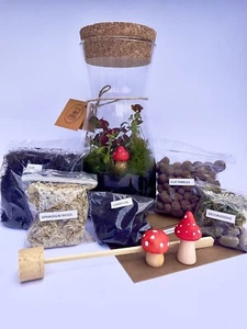 DIY Terrarium Full Kit Project/ 1x Mushroom Fig/Instructions Incl./Unique Gift - Picture 1 of 4